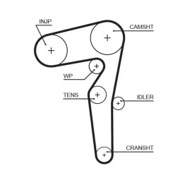 Fogasszíj - GATES (GAT5646XS)