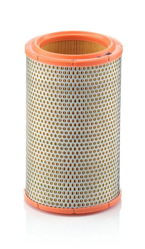Légszűrő - MANN-FILTER (C1387)