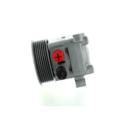 Pompa Wspom. Ukł. Kier. Fiat Ducato 2,3D 06- - SPIDAN (SPI54888)