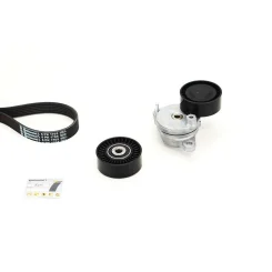 Zestaw Paska Wielorowk. Citroen - CONTINENTAL CTAM (6PK1705K1)