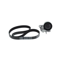 Zestaw Paska Wielorowk. Audi/Seat - BOSCH (1987600766)