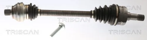 Póło Cupra T. Born Ev 21- Le - TRISCAN (8540295062)