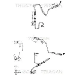 Przewód Wspomagania Ford Tourneo Connect/Transit Connect 02- - TRISCAN (851616044)