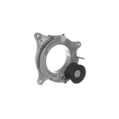 Napinacz Paska Wielorowk. Bmw - SKF (VKM38091)