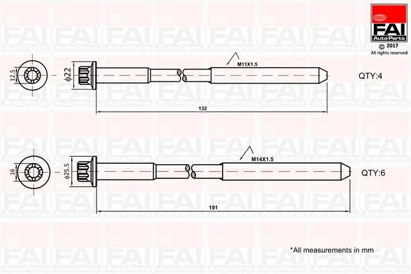 Ruby Głowicy Fiat 2.3D 10Szt. - FAI AutoParts (B1625)
