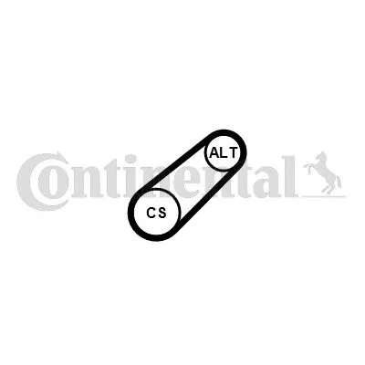 Hosszbordás Szíj 6Pk799Elast - CONTINENTAL CTAM (6PK799ELAST)