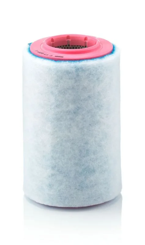 Légszűrő - MANN-FILTER (C17237/1)