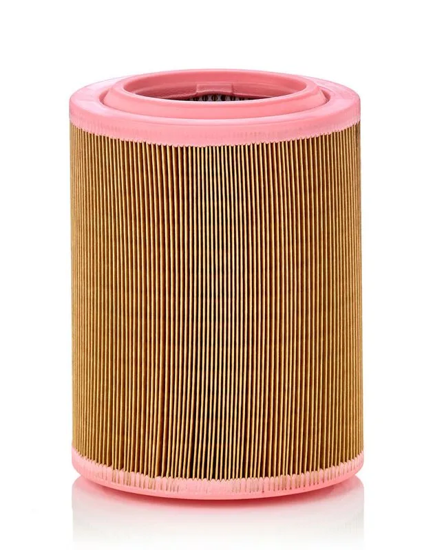 Légszűrő - MANN-FILTER (C18003)