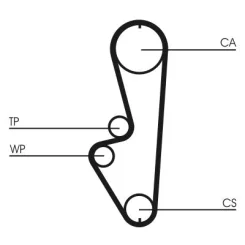 Fogasszíj - CONTINENTAL CTAM (CT765)