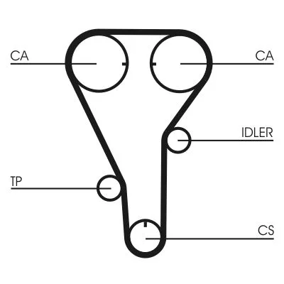 Fogasszíj - CONTINENTAL CTAM (CT787)