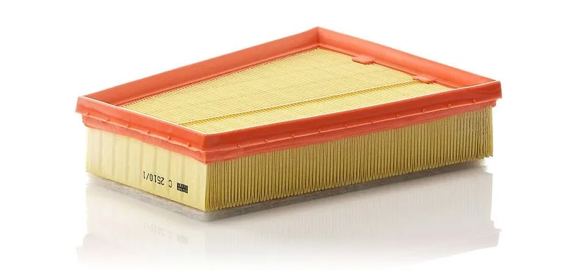 Légszűrő - MANN-FILTER (C2510/1)