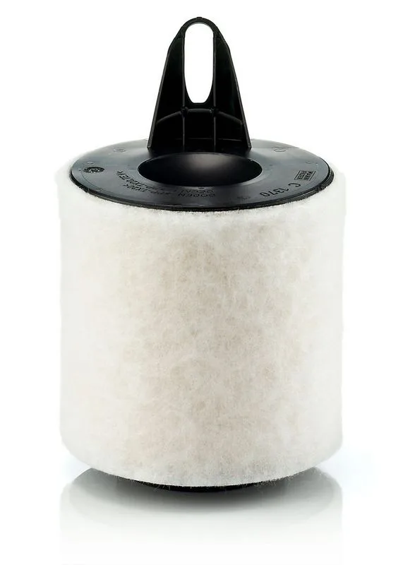 Légszűrő - MANN-FILTER (C1370)
