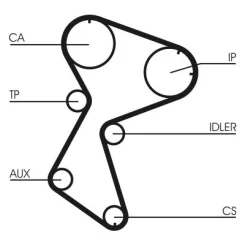 Fogasszíj - CONTINENTAL CTAM (CT966)