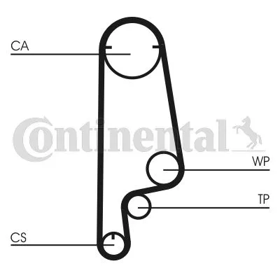 Fogasszíj - CONTINENTAL CTAM (CT799)