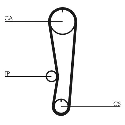 Fogasszíj - CONTINENTAL CTAM (CT895)