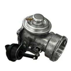 Agr-Szelep - MAGNETI MARELLI (EV047)