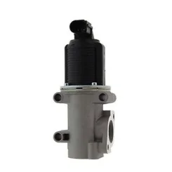 Agr-Szelep - MAGNETI MARELLI (EV006)