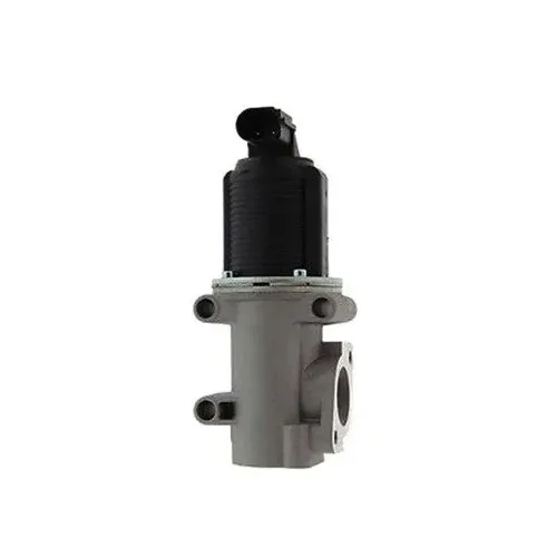 Agr-Szelep - MAGNETI MARELLI (EV006)