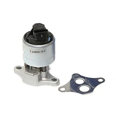 Agr-Szelep - MAGNETI MARELLI (EV024)