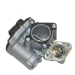 Agr-Szelep - MAGNETI MARELLI (EV043)