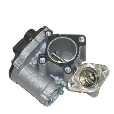 Agr-Szelep - MAGNETI MARELLI (EV043)