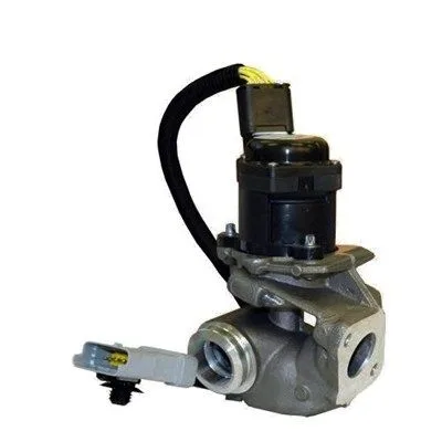 Agr-Szelep - MAGNETI MARELLI (EV030)