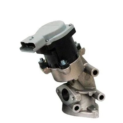Agr-Szelep - MAGNETI MARELLI (EV032)