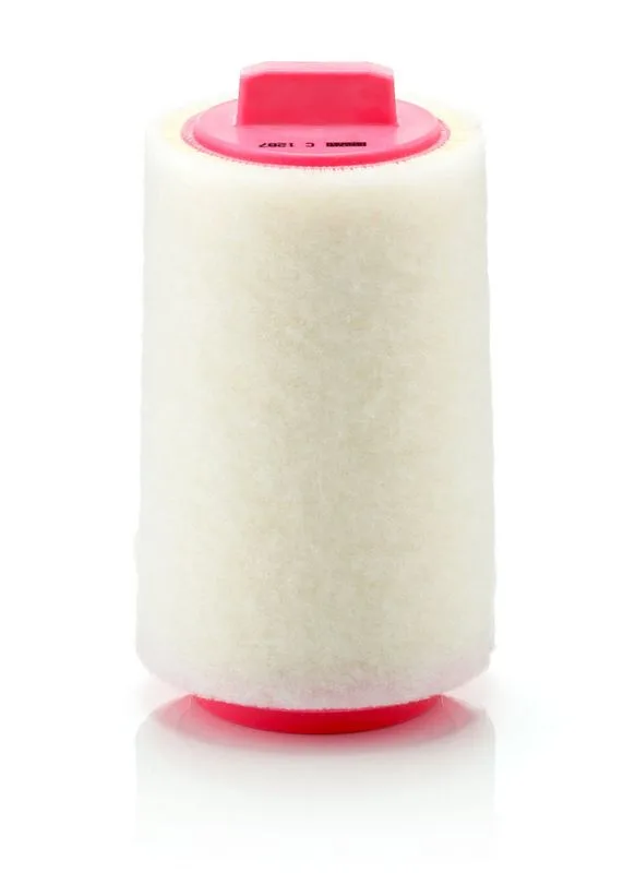 Légszűrő - MANN-FILTER (C1287)