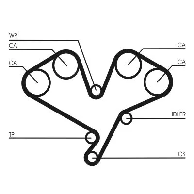 Fogasszíj - CONTINENTAL CTAM (CT1113)