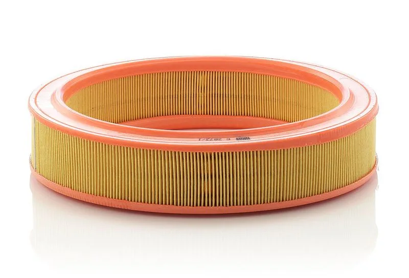 Légszűrő - MANN-FILTER (C2873/1)