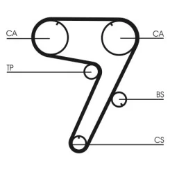Fogasszíj - CONTINENTAL CTAM (CT931)