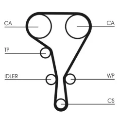 Fogasszíj - CONTINENTAL CTAM (CT1127)