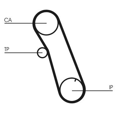 Fogasszíj - CONTINENTAL CTAM (CT616)