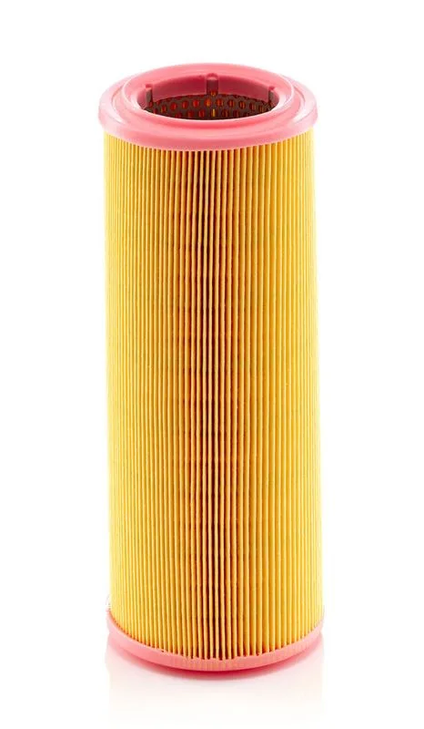 Légszűrő - MANN-FILTER (C1189)