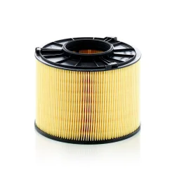 Légszűrő - MANN-FILTER (C17012/1)