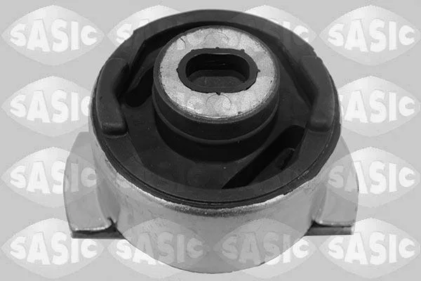 Csapágy, Tengelytest - SASIC (4005529)