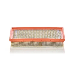 Légszűrő - MANN-FILTER (C30170/1)