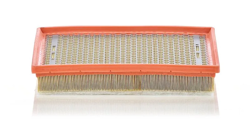 Légszűrő - MANN-FILTER (C30170/1)