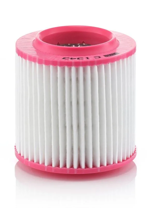 Légszűrő - MANN-FILTER (C1343)