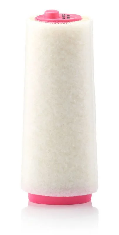 Légszűrő - MANN-FILTER (C15105/1)