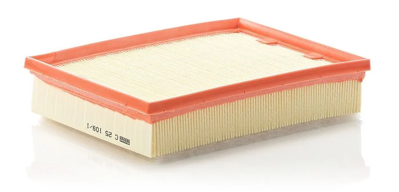 Légszűrő - MANN-FILTER (C25109/1)