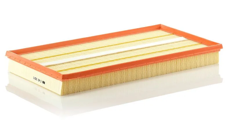 Légszűrő - MANN-FILTER (C42192/1)