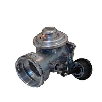 Agr-Szelep - MAGNETI MARELLI (EV050)