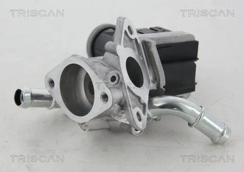 Agr-Szelep - TRISCAN (881316036)