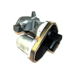 Agr-Szelep - MAGNETI MARELLI (EV038)