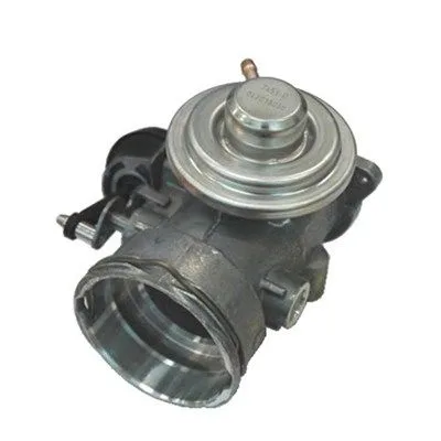 Agr-Szelep - MAGNETI MARELLI (EV049)