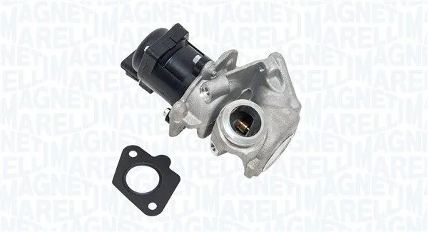 Agr-Szelep - MAGNETI MARELLI (EV033)