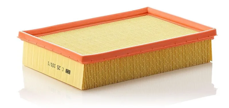 Légszűrő - MANN-FILTER (C25101/1)