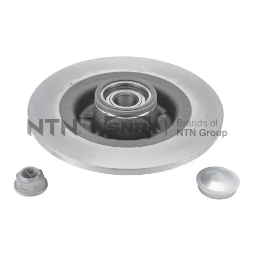 Tarcza Ham. Renault T. Grand Scenic/Scenic 1,5-2,0 Dci 03-09 Z Łożyskiem Abs - SNR (KF15579U)