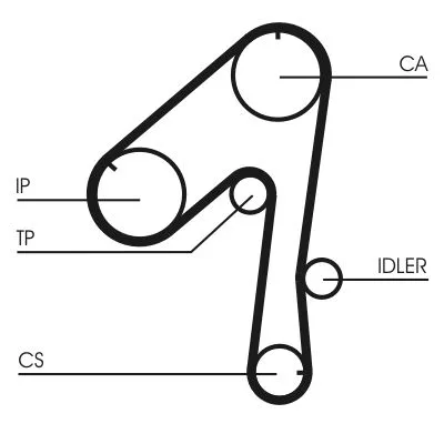 Fogasszíj - CONTINENTAL CTAM (CT786)